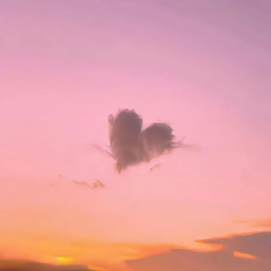 吃雪白的扔子小说
